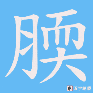 腝笔顺动图