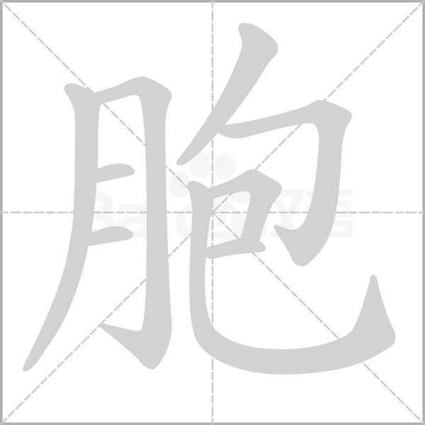 胞笔顺动图