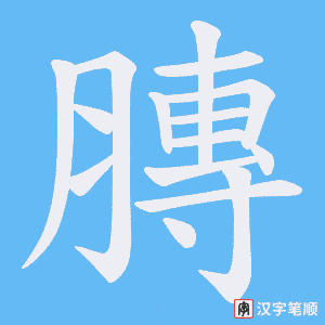 膞笔顺动图