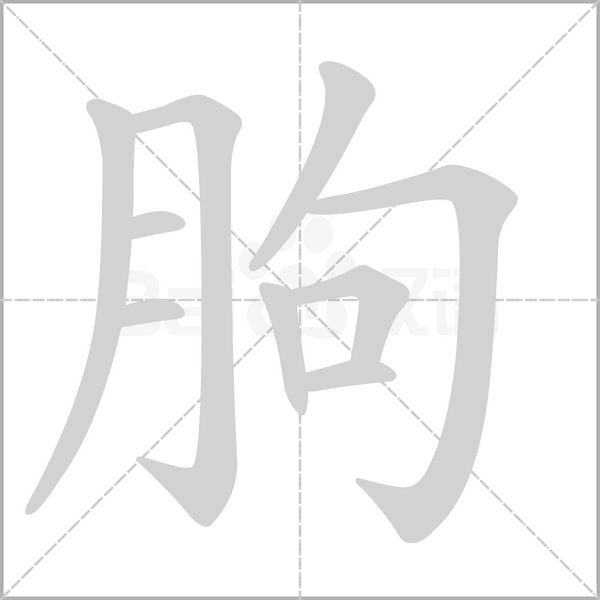 朐笔顺动图