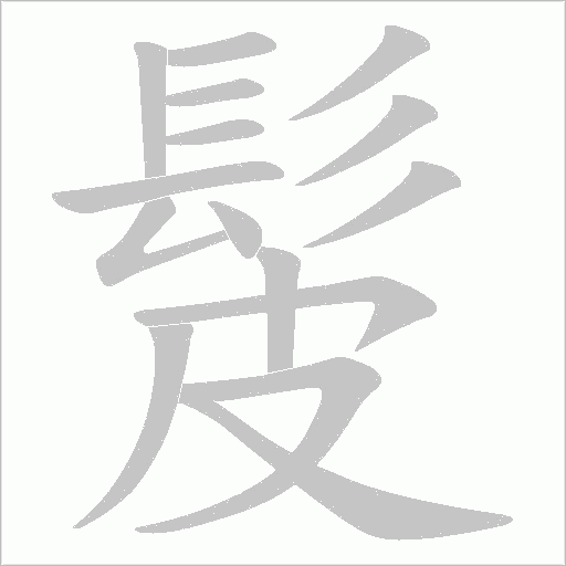 髲笔顺动图