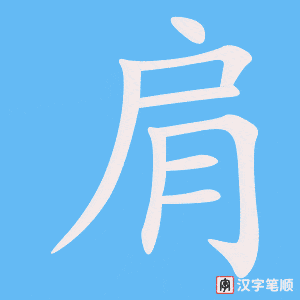 肩笔顺动图