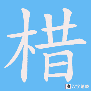 棤笔顺动图