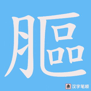 膒笔顺动图