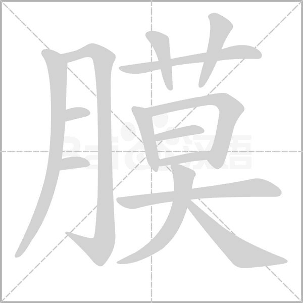 膜笔顺动图