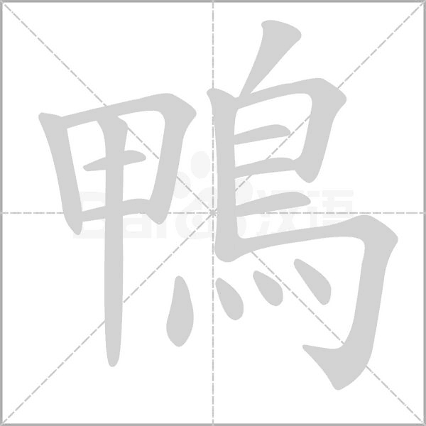 鴨笔顺动图