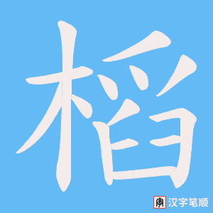 槄笔顺动图