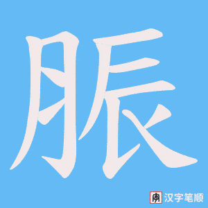 脤笔顺动图