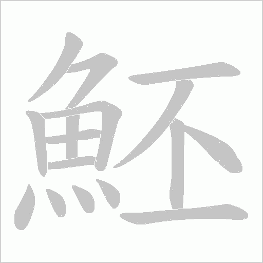 魾笔顺动图