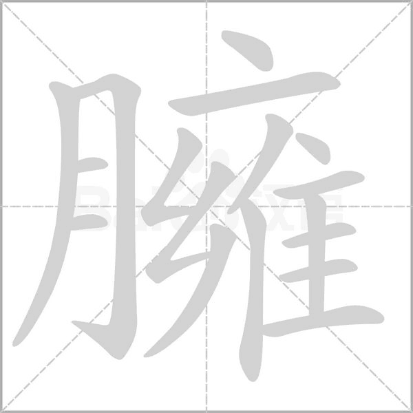 臃笔顺动图