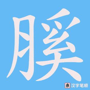 膎笔顺动图