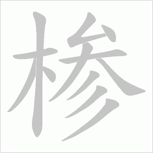 椮笔顺动图