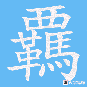 覊笔顺动图
