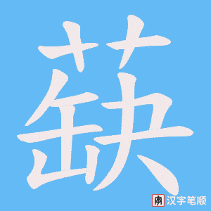 蒛笔顺动图