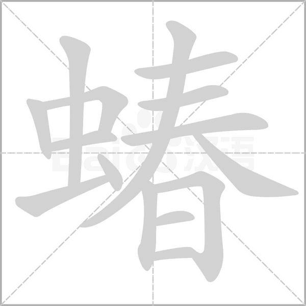 蝽笔顺动图