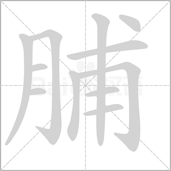 脯笔顺动图