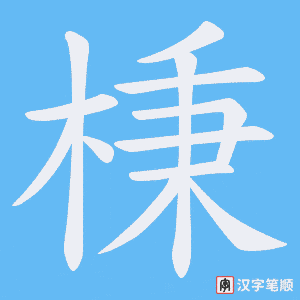 棅笔顺动图