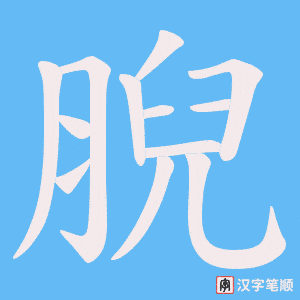 腉笔顺动图