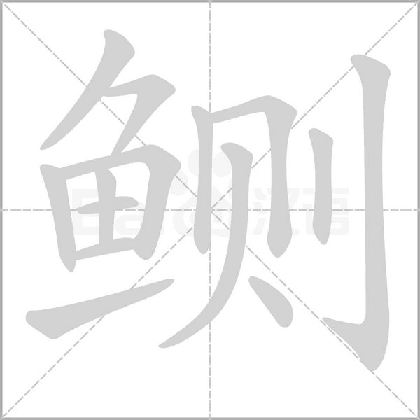 鲗笔顺动图