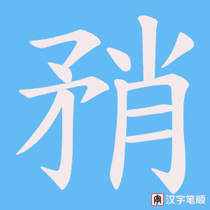 矟笔顺动图