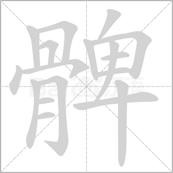 髀笔顺动图