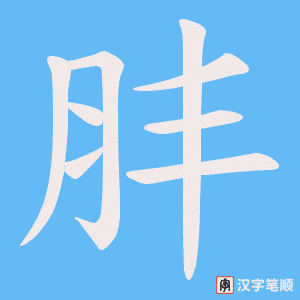 肨笔顺动图