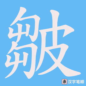 皺笔顺动图
