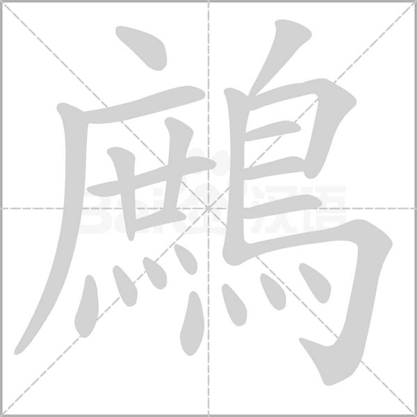 鷓笔顺动图