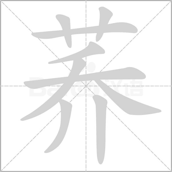荞笔顺动图