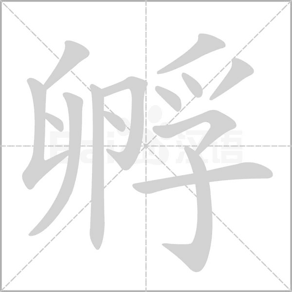 孵笔顺动图