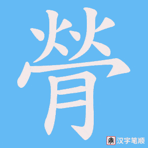 膋笔顺动图