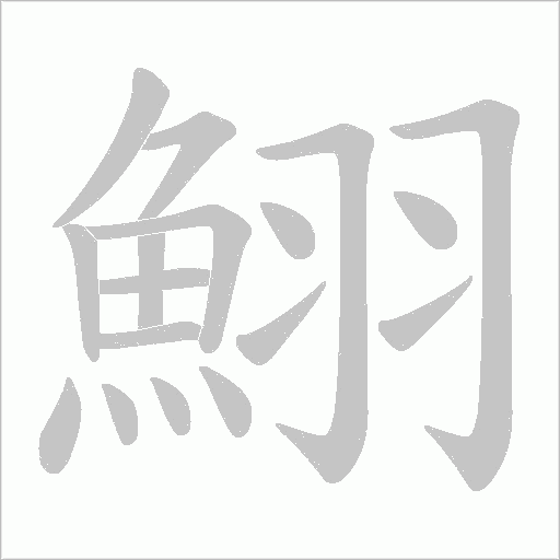 鮙笔顺动图