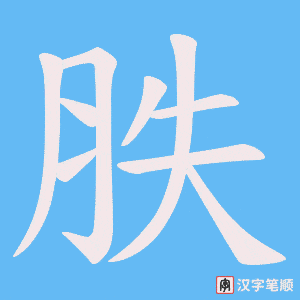 胅笔顺动图