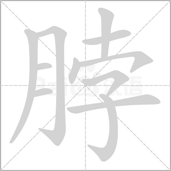 脖笔顺动图