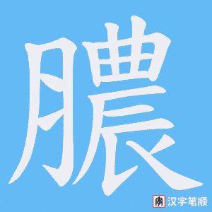 膿笔顺动图