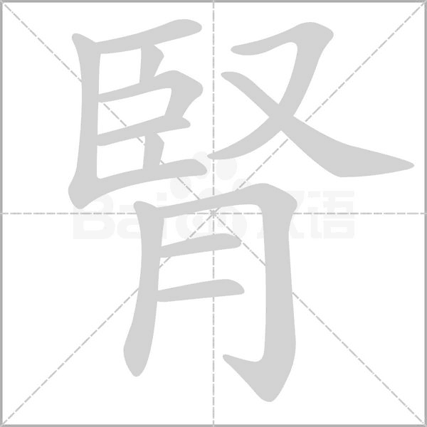 腎笔顺动图