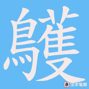 鸌笔顺动图