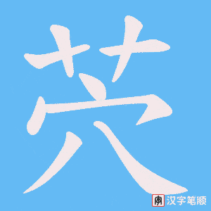茓笔顺动图