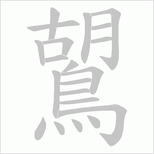 鶦笔顺动图