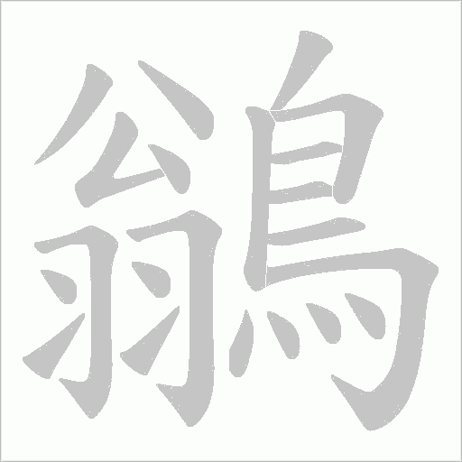 鶲笔顺动图
