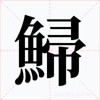 鯞笔顺动图