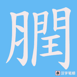膶笔顺动图