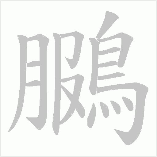 鵩笔顺动图