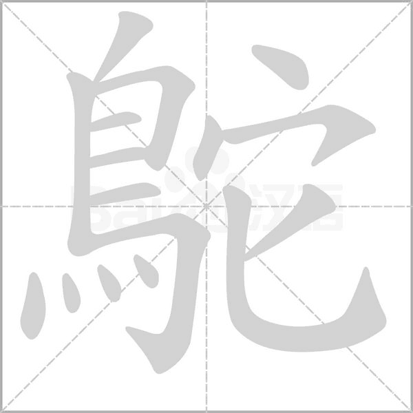 鴕笔顺动图