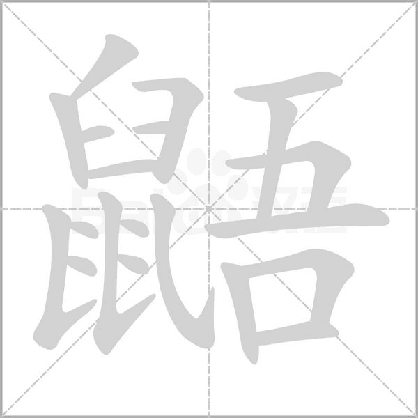 鼯笔顺动图