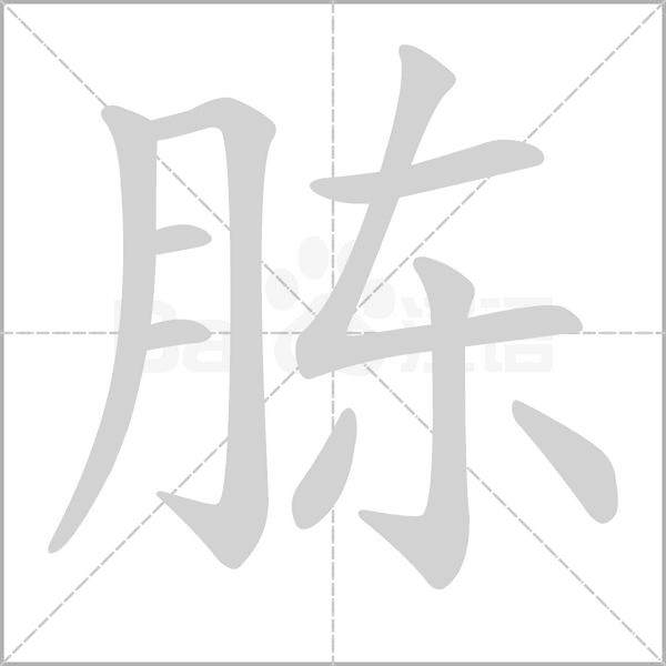 胨笔顺动图