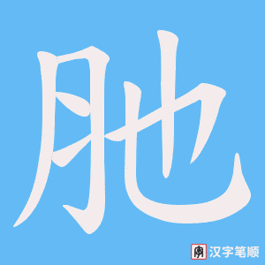 肔笔顺动图