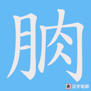 朒笔顺动图
