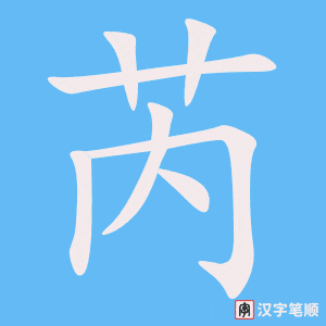芮笔顺动图