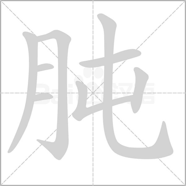 肫笔顺动图
